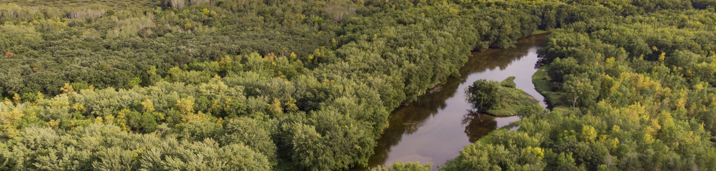 aerial view of river through trees