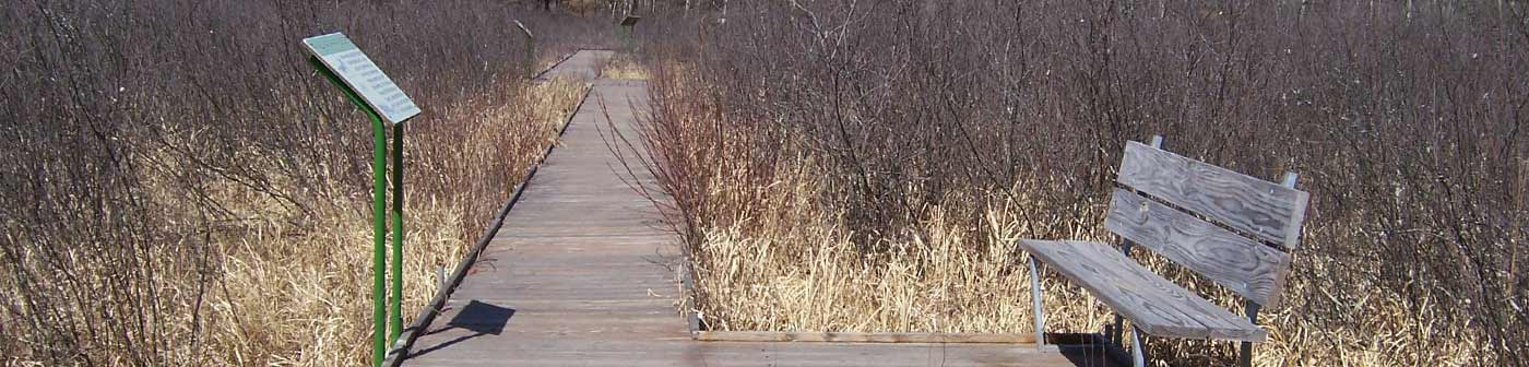 walkway over a bog