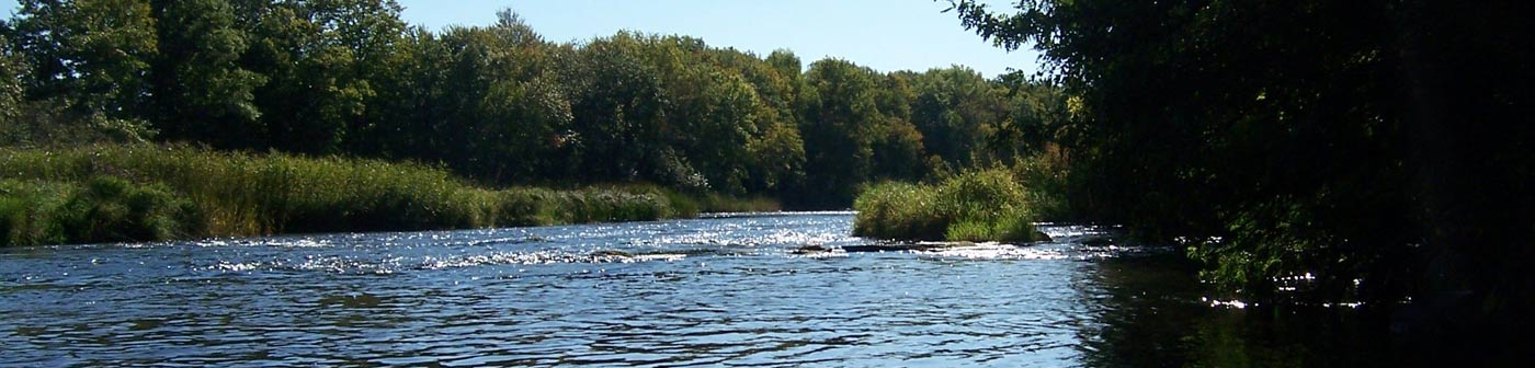 River Rapids